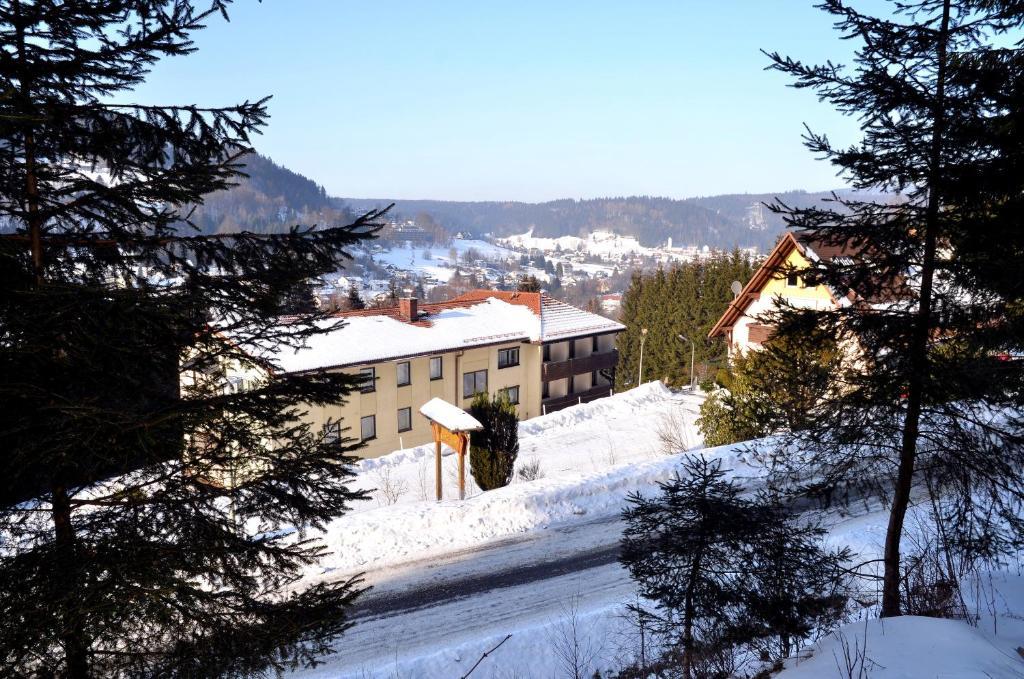 Hotel Pension Waldbaude Warmensteinach Exterior foto